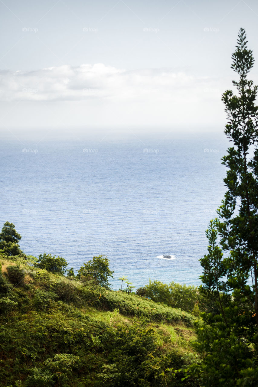 Quiet ocean from the cliff