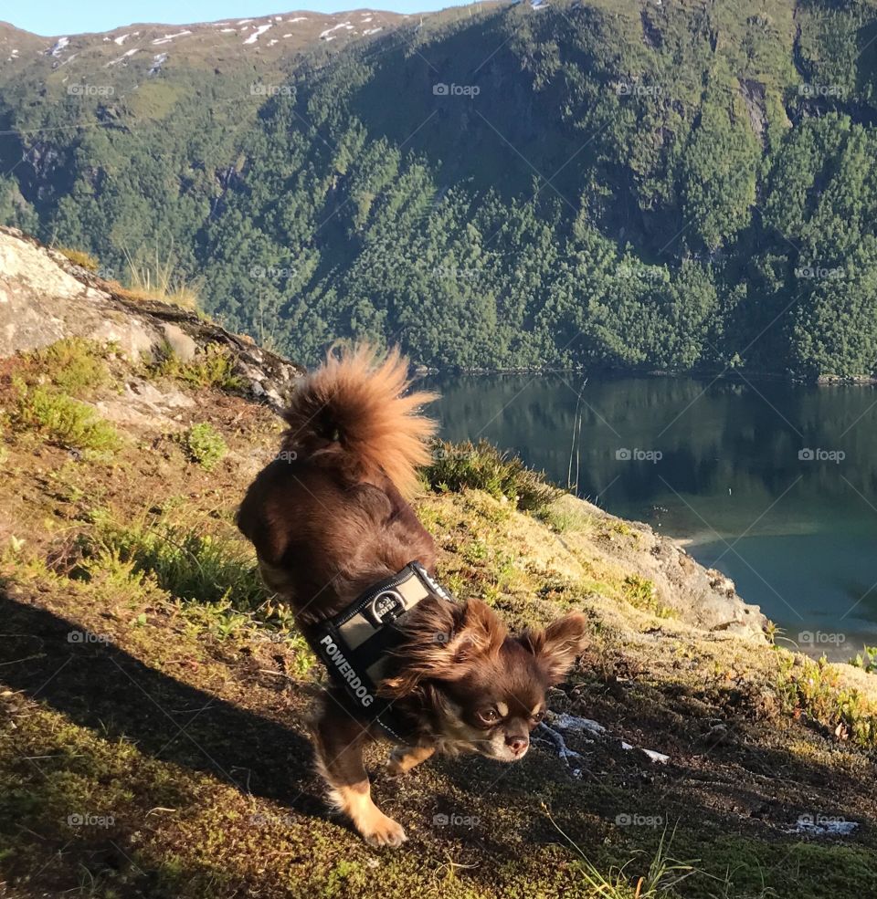 Spring yoga in the mountains 