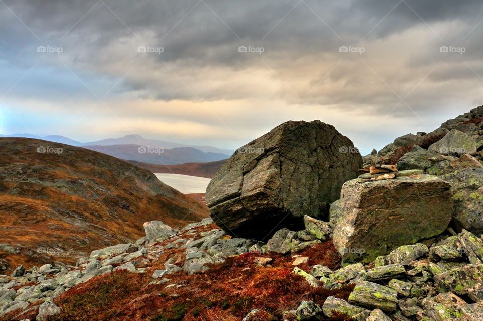 One of the topps in the wold