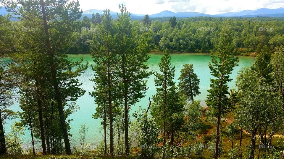 A green lake in Sweden, called Blanktjärn.