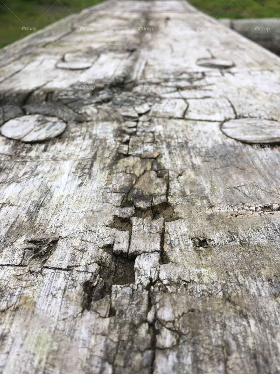 Log, Old, Wood, Tree, Rough