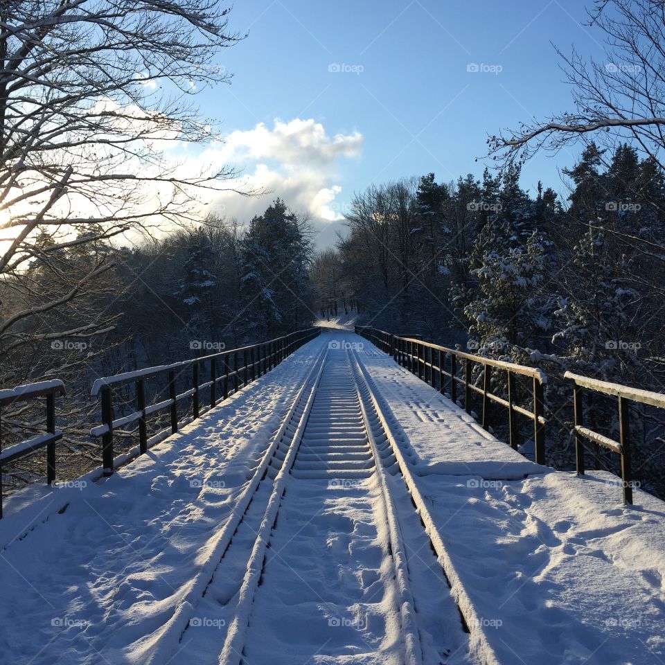 Snow, Winter, Road, No Person, Cold