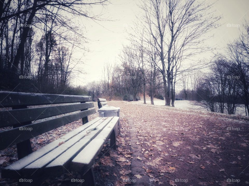 alone bench