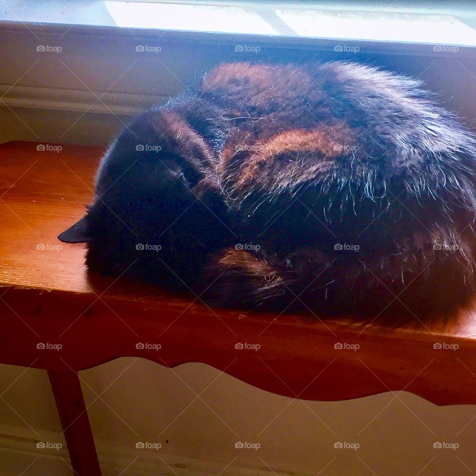 Big Black loves his lazy cat naps!