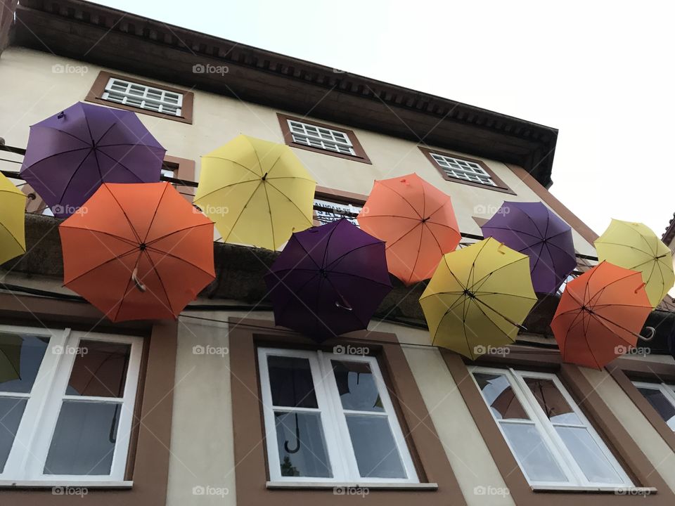 Colorindo as janelas.