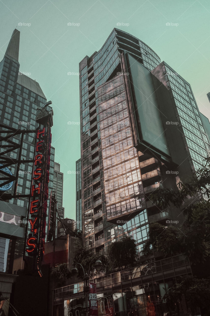 Landscape of a New York architecture 