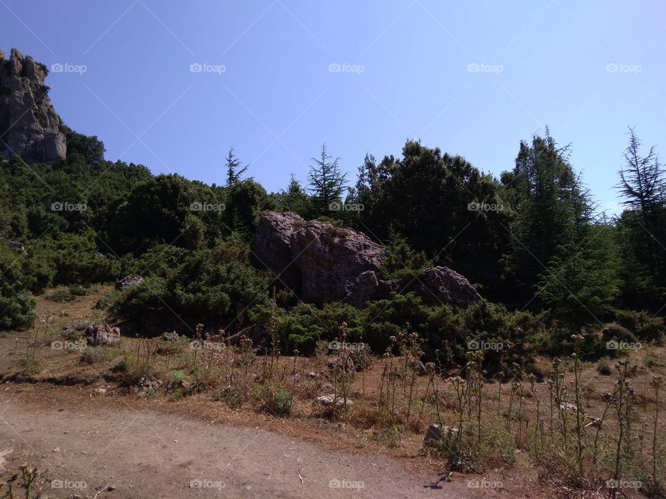 Going up to Monte Novo San Giovanni