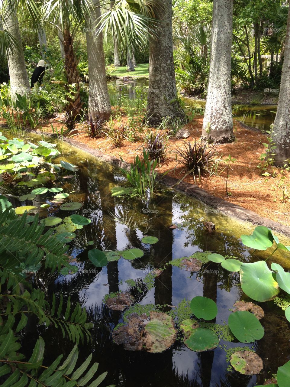 Enchanted garden