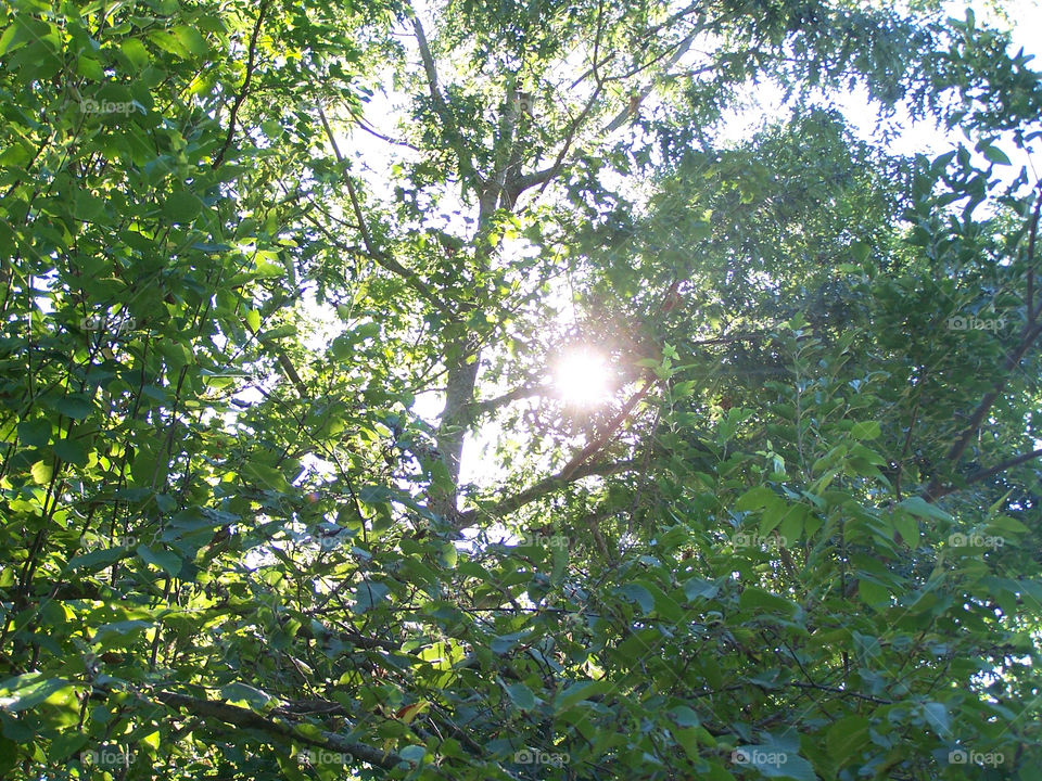 sky light blue summer by ashley77