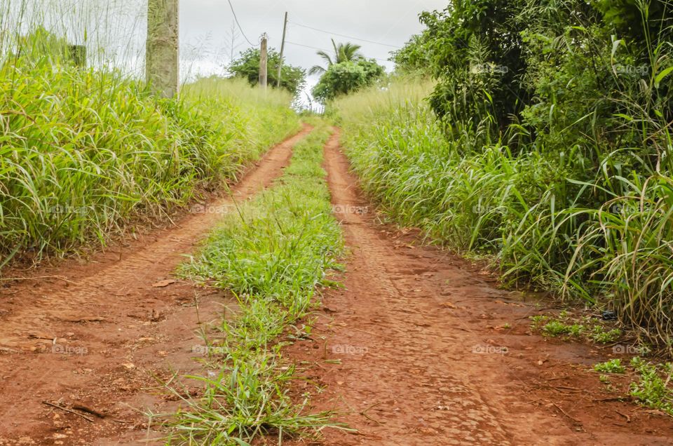 Dirt Road