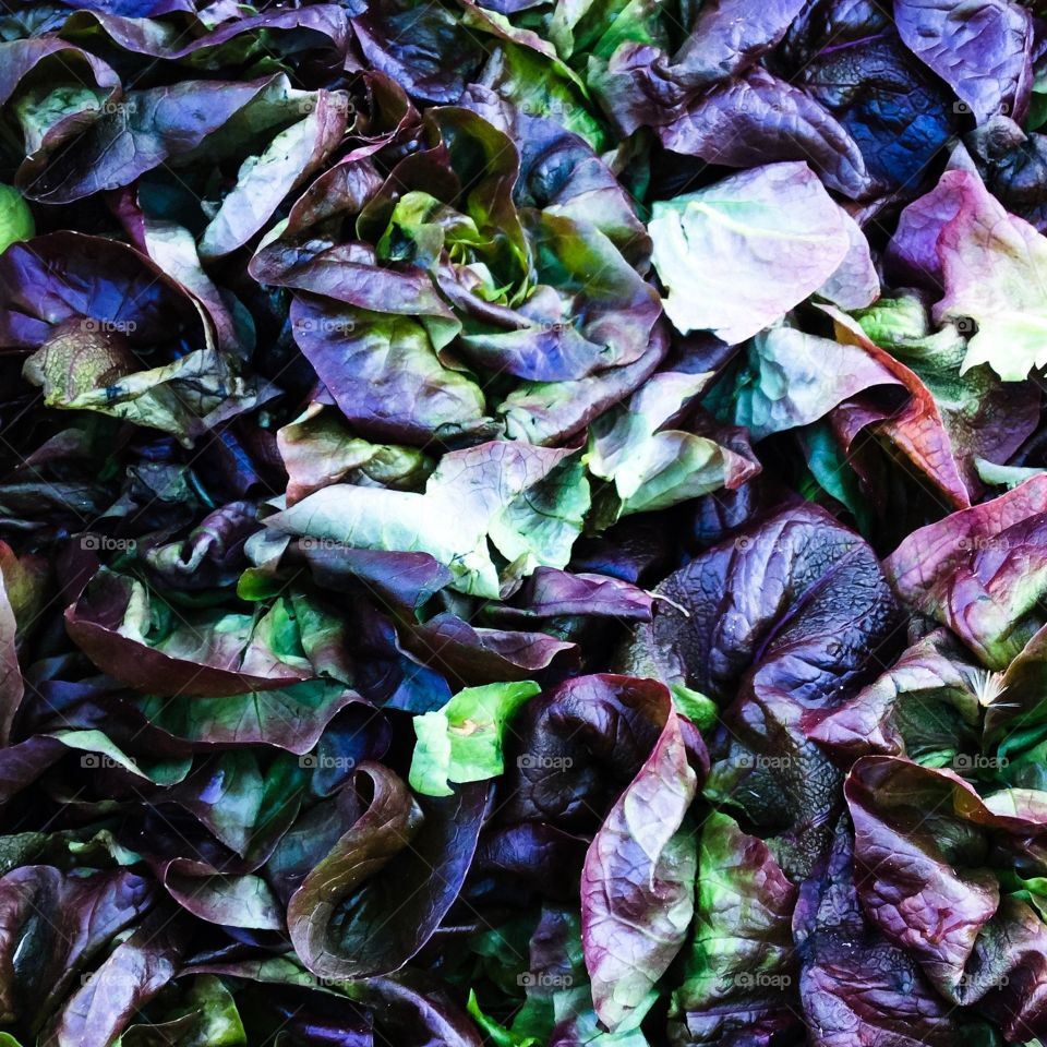 Texture Leaves Salad 