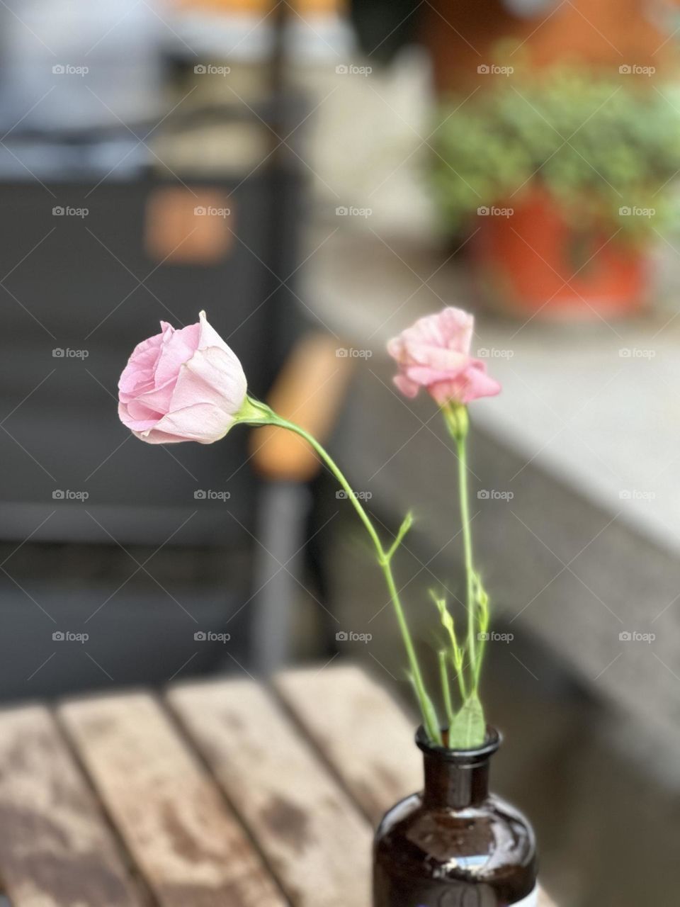 Pink flower in vase