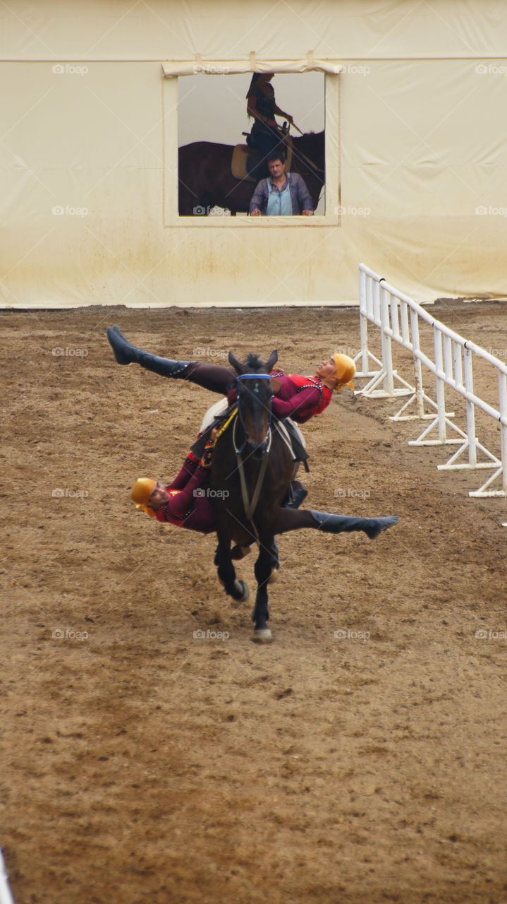 Equestrian performances 馬術表演