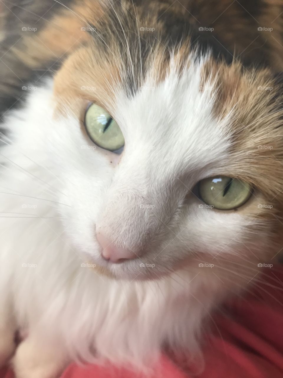 Ready for a close up