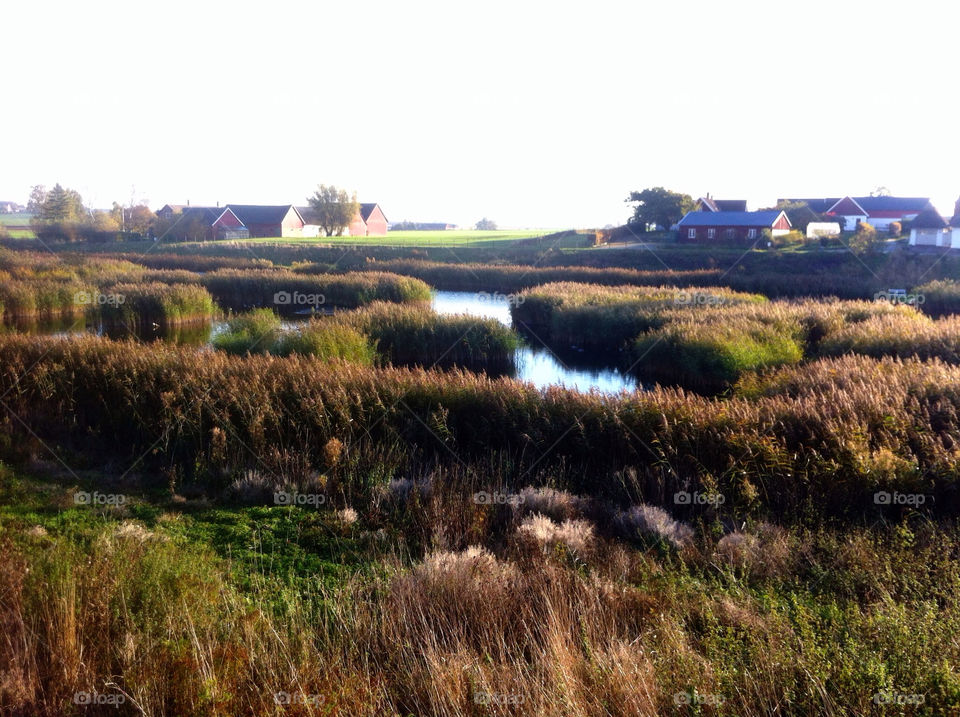 Landscape, No Person, Travel, Tree, Water