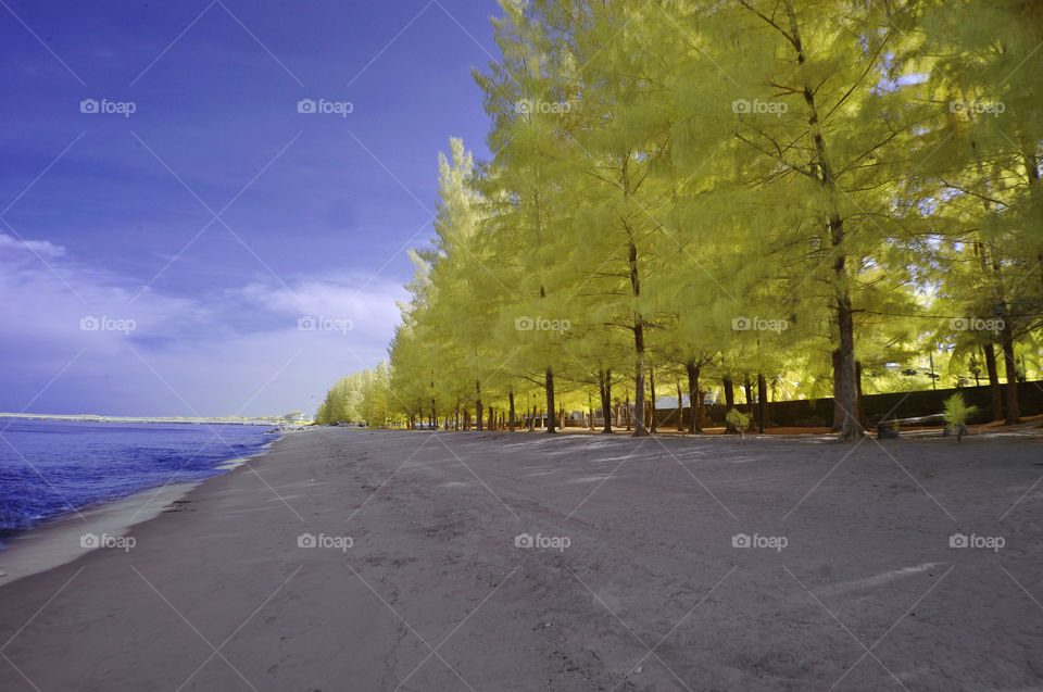 Malacca Straits View in infrared world