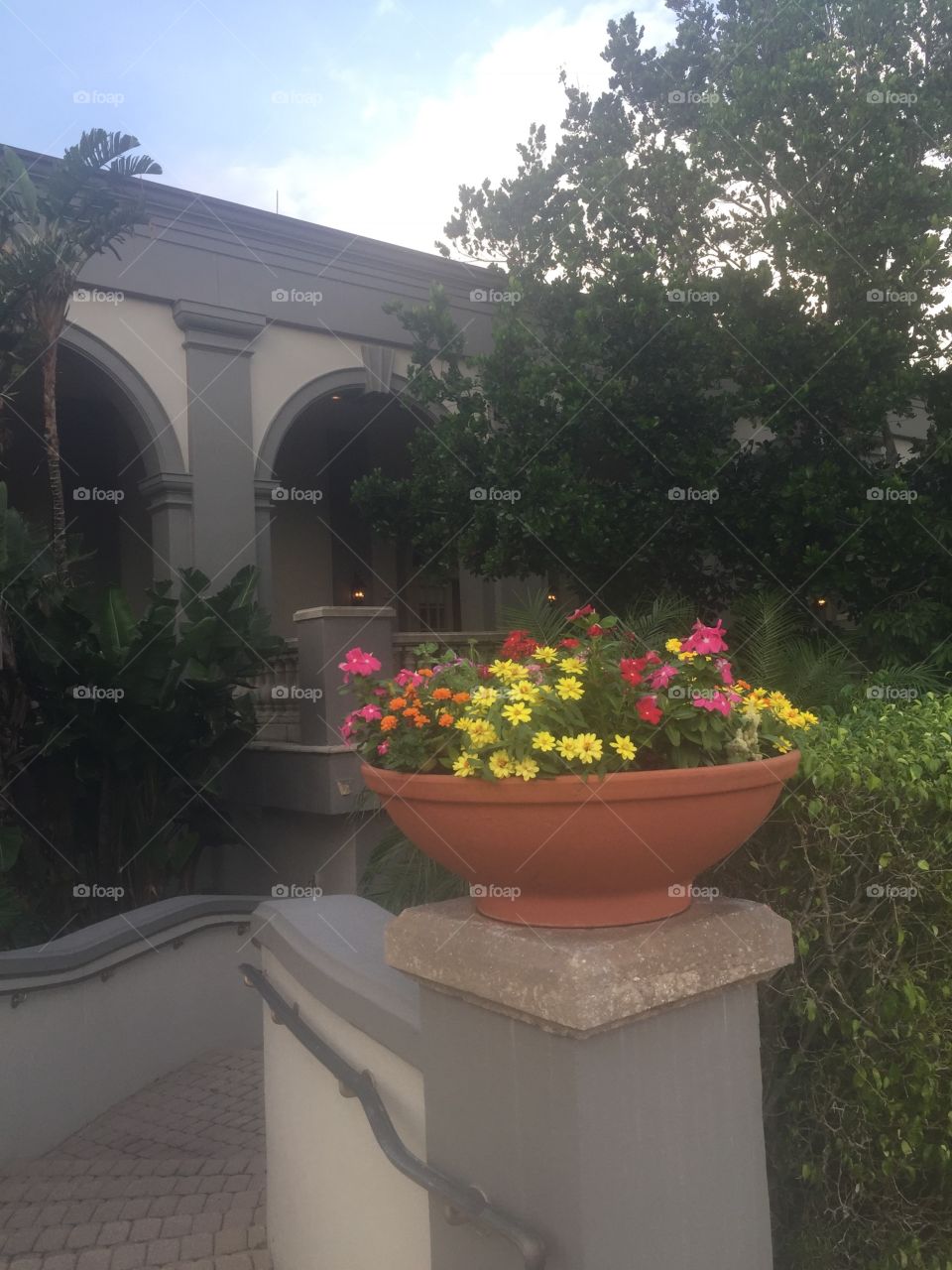 Colorful flower pot of mixed blooms.  Ritz Carlton Naples FL