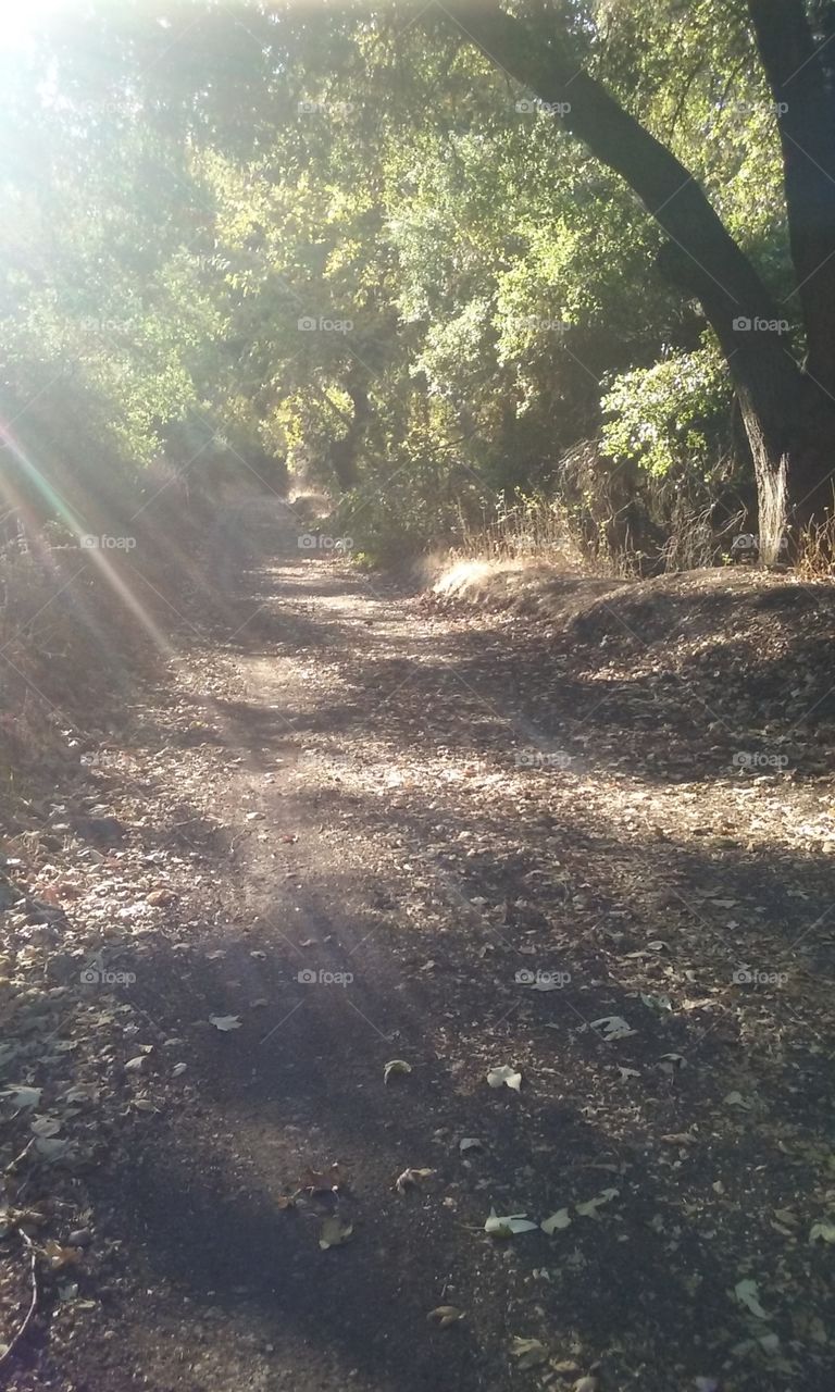 Trail at Turnbull Canyon in Whittier, CA