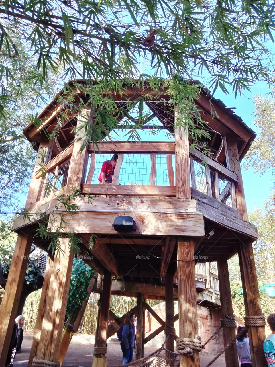 treehouse