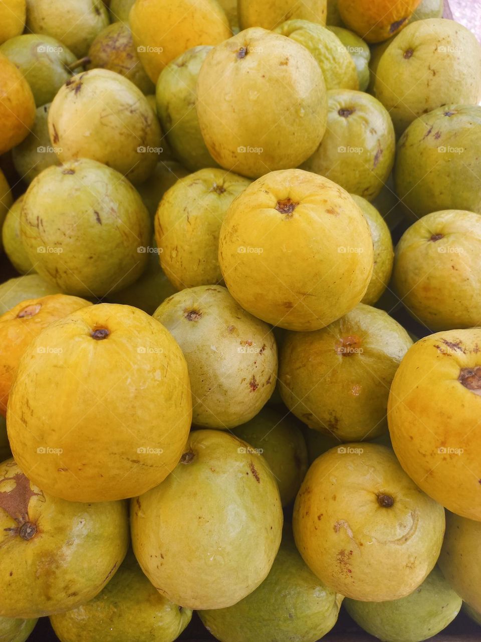 A goiaba  é uma fruta rica em fibras e baixa densidade energética  aumentando a saciedade. Contêm vitamina A, C, minerais e apresenta teores satisfatórios de vitaminas do complexo  B, especialmente  a Tuamina( B1) Riboflavina (B2) e Niacina