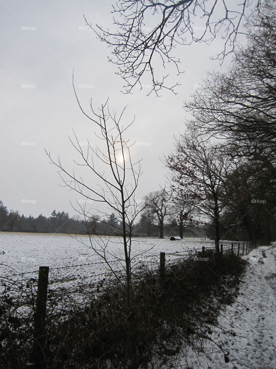 A Winters  Day