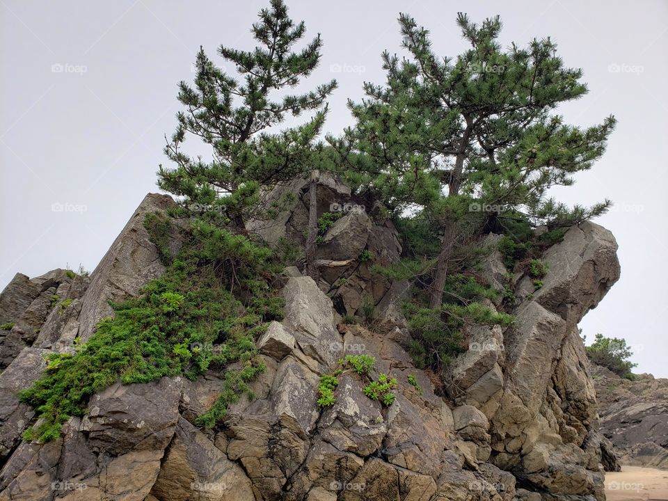 japan beach cliff