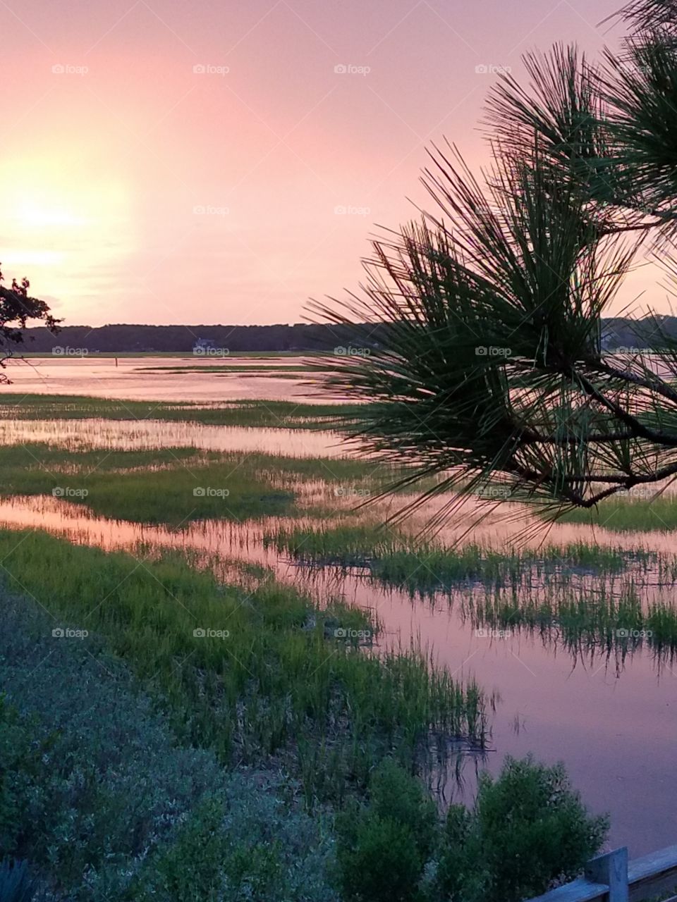 Broad Creek sunset