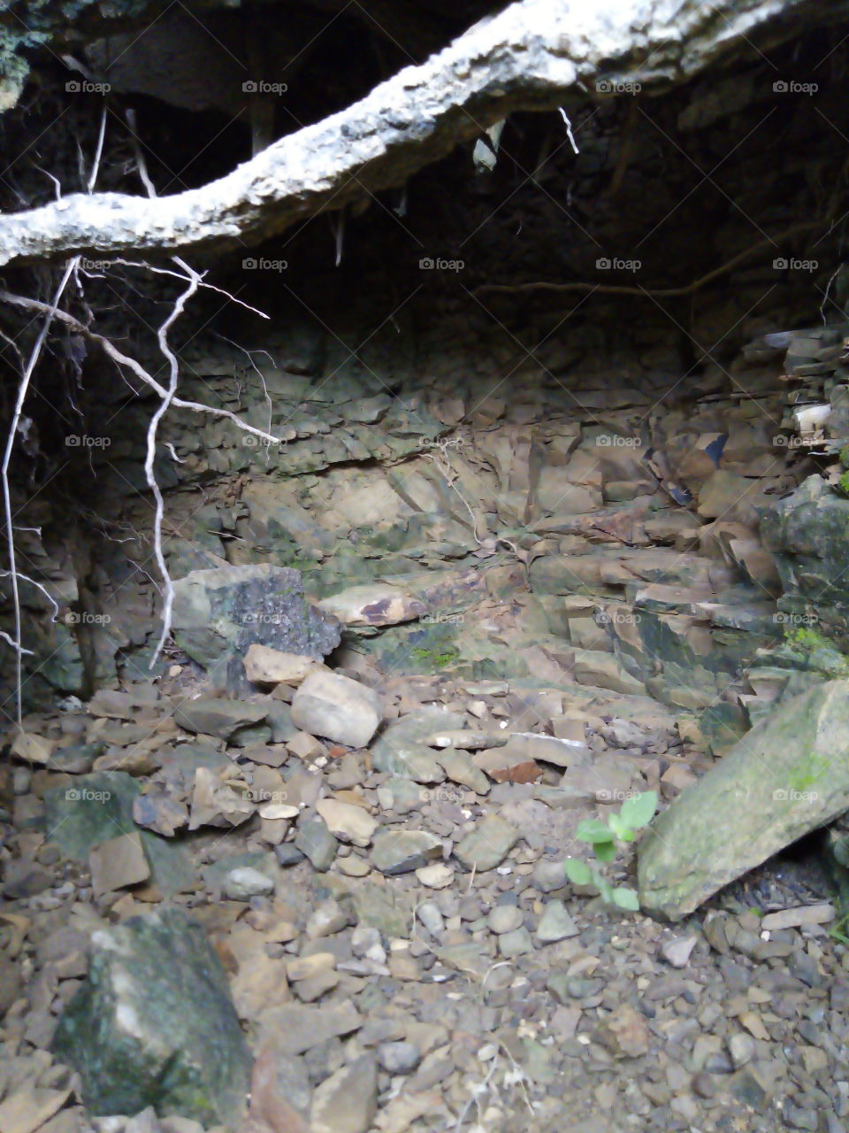 the nature of the field