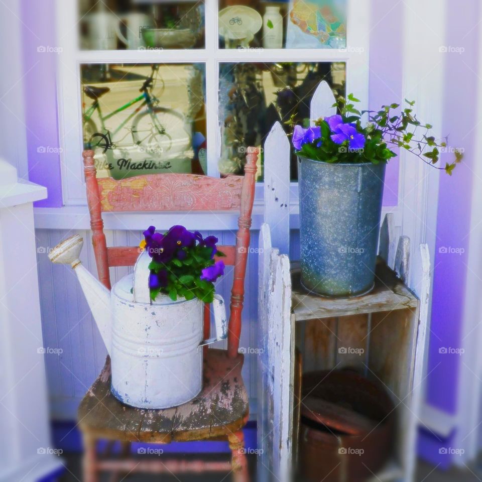 Beautiful purple flowers outside a  window in a quaint little place.