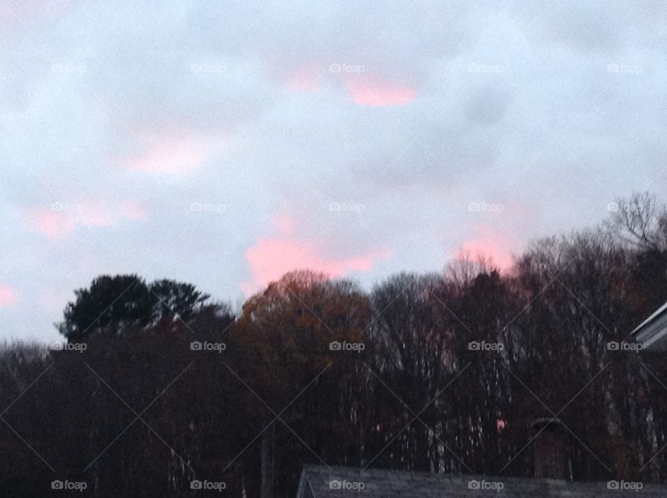 Pink sky