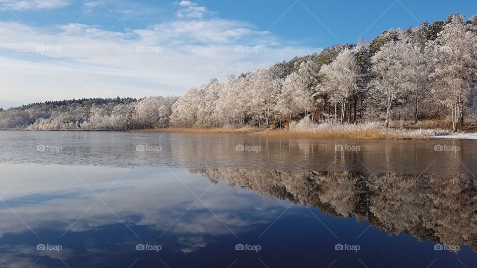 Beautiful winter landscape in snow, forest reflection on the lake - vackert vinterlandskap i snö , skog reflektion på spegelblank sjö