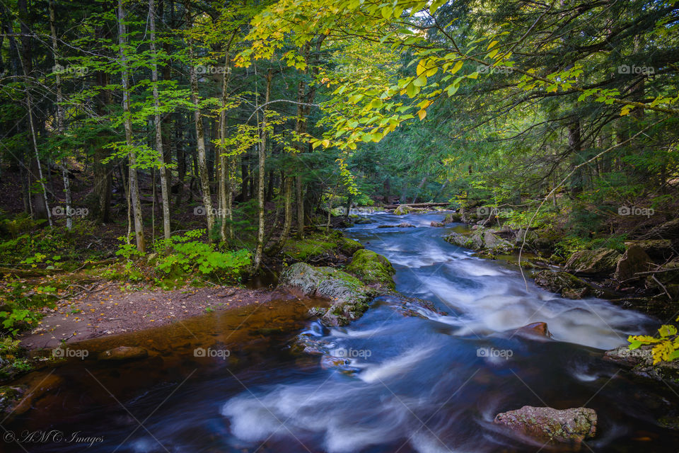 A fork in the river in the upper Peninsula of Michigan during autumn