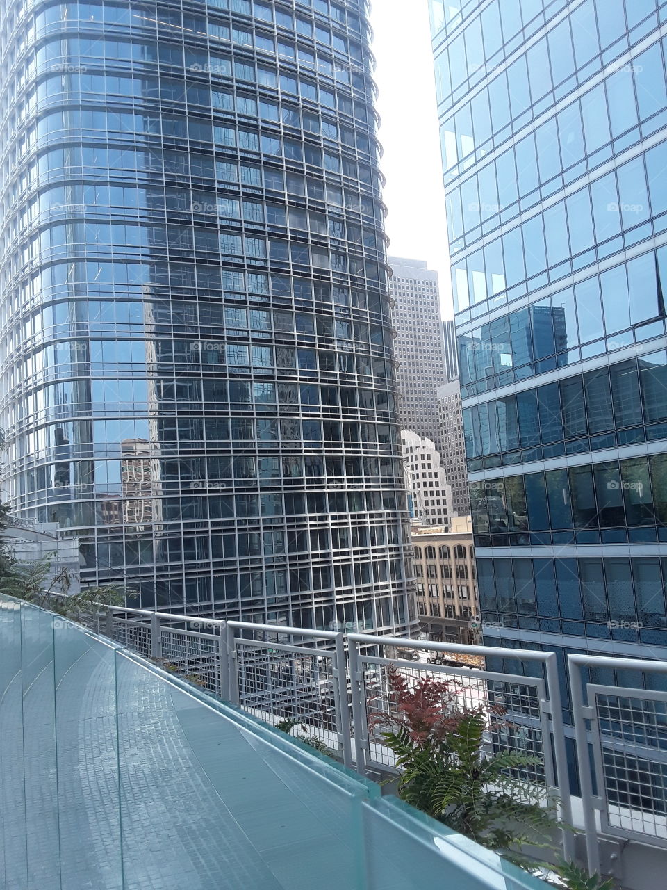 Salesforce Park San Francisco California