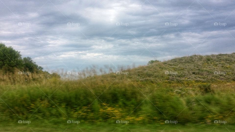 Nature. Rolling Meadow