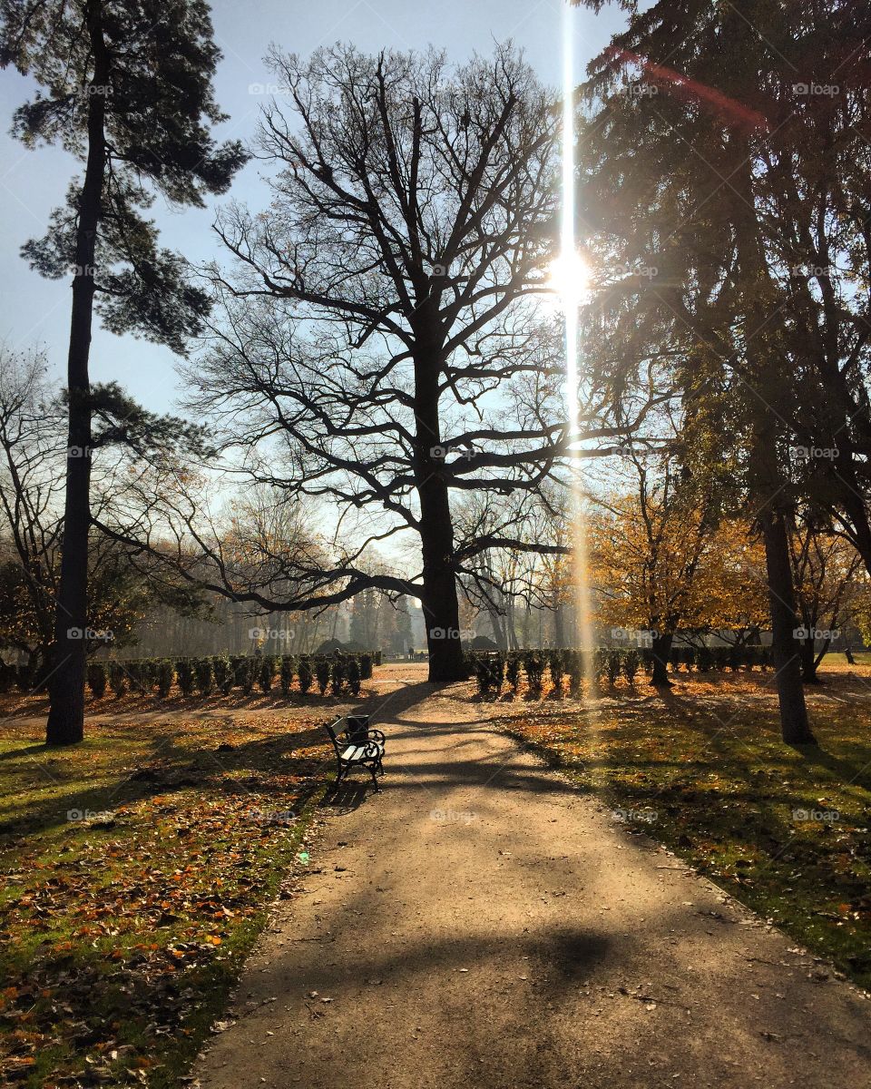 Illuminating sunrays