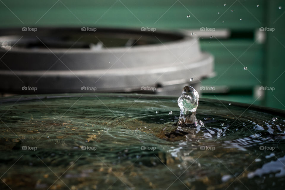 Water drop falling on water