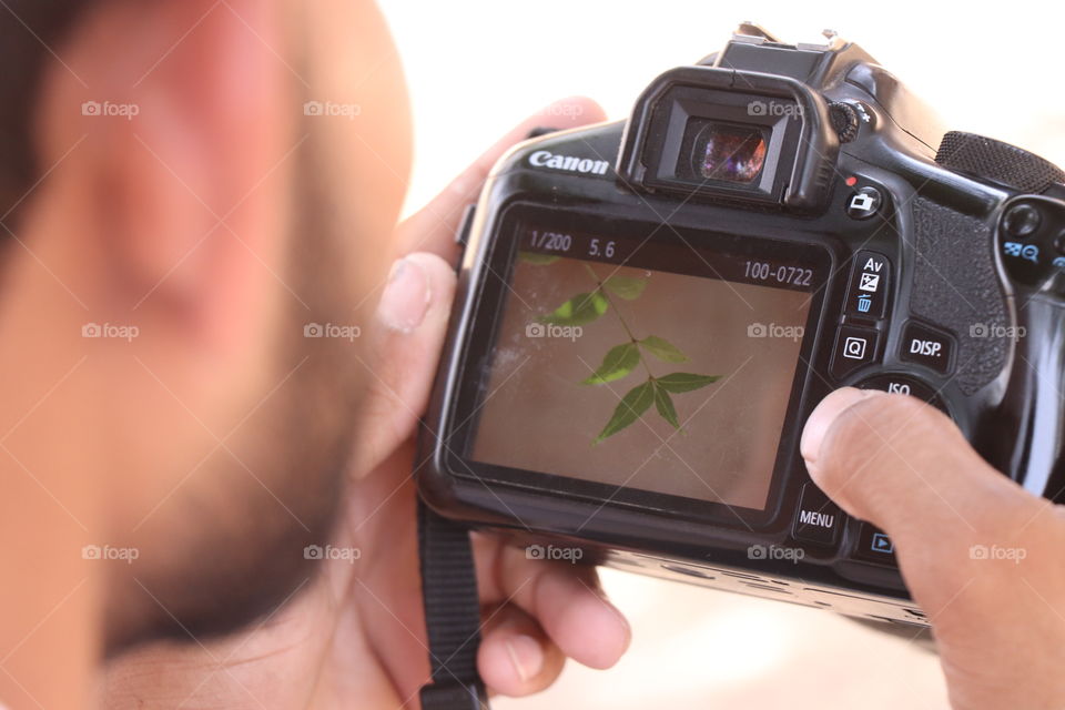 camera, leaf, naturally photo, man,