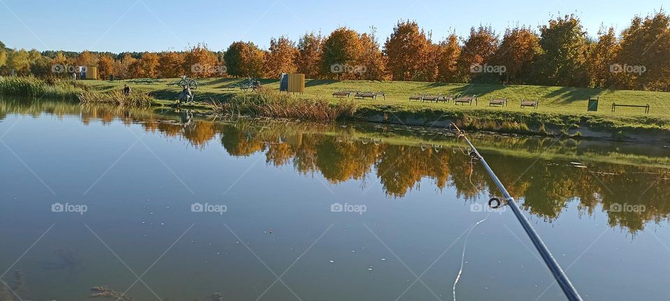 lake nature landscape autumn time