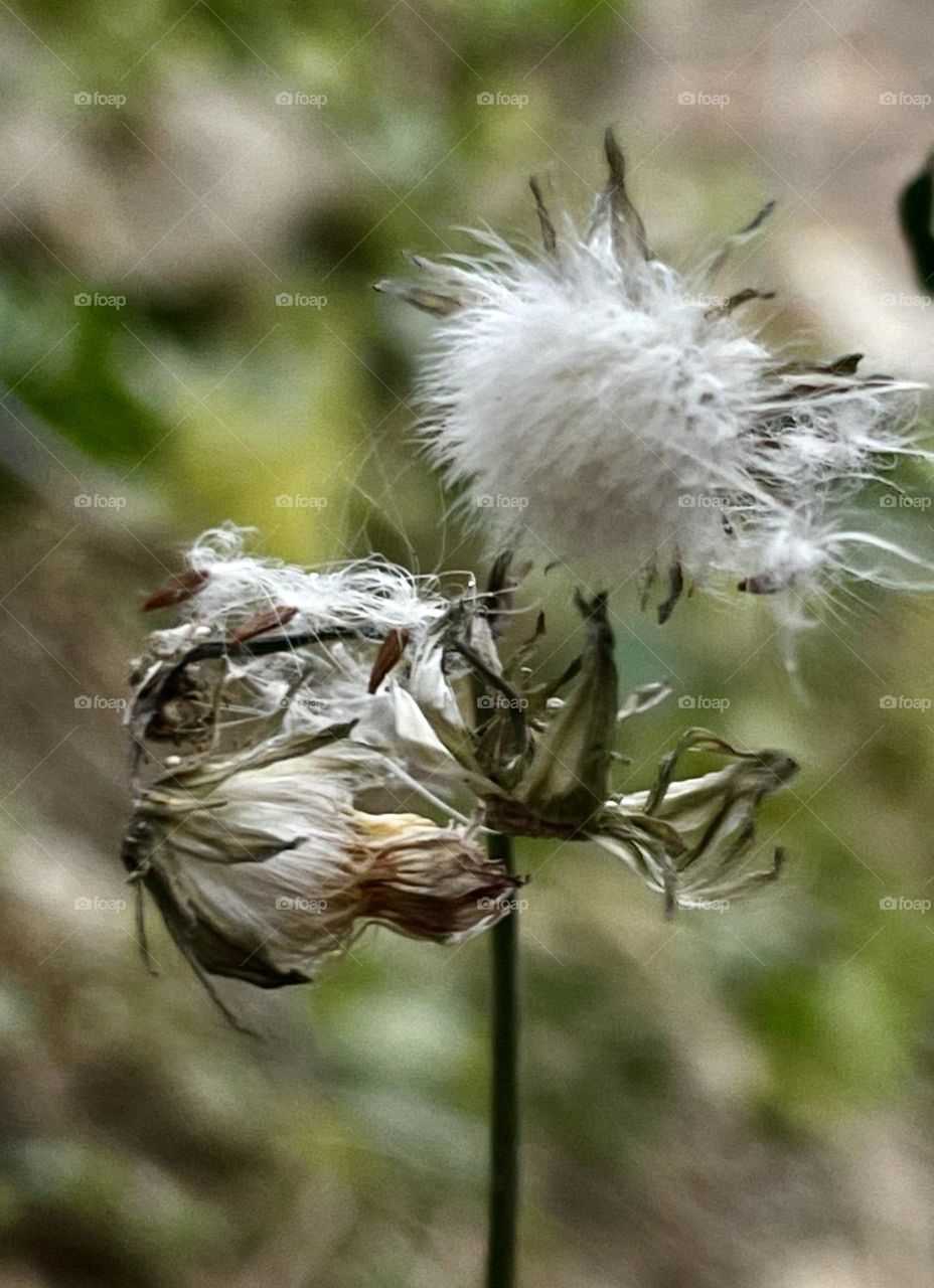 Nature is everything 