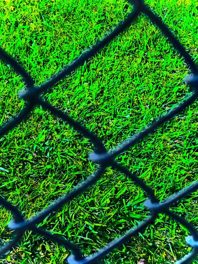 The grass is greener 