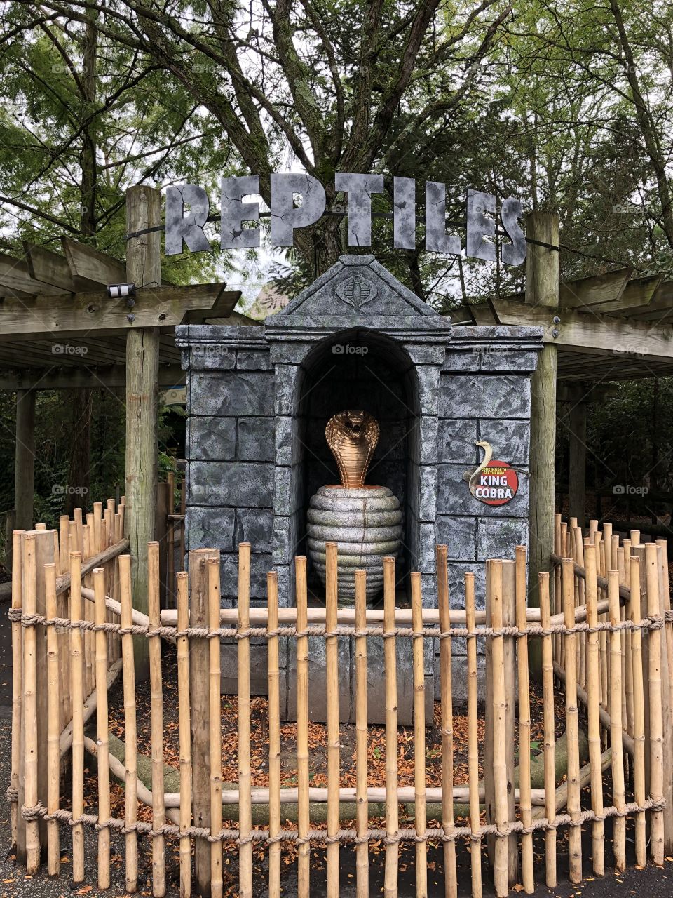 Reptile House Entrance with Gold King Cobra