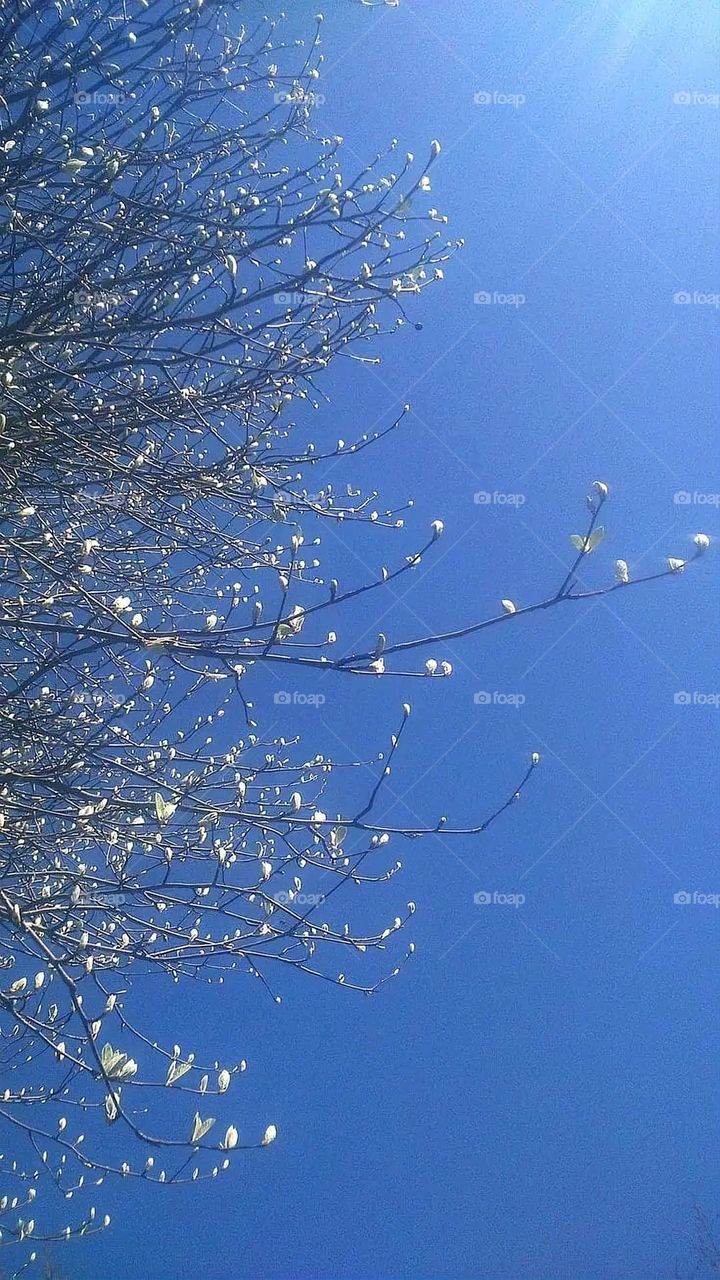 A very beautiful picture, and there is no better picture than it. There is no better picture of green herbs and colorful, red and white roses than it. Glory be to God, the natural and picturesque view, and there is no more wonderful picture than it.