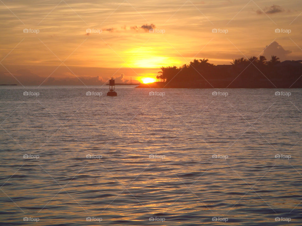 ocean sunset palm sun by badpseudonym