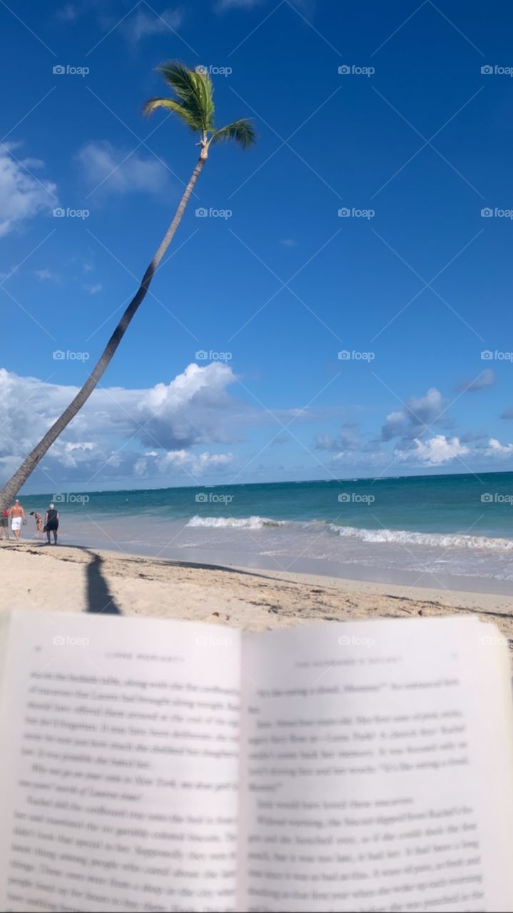 Beachside reading