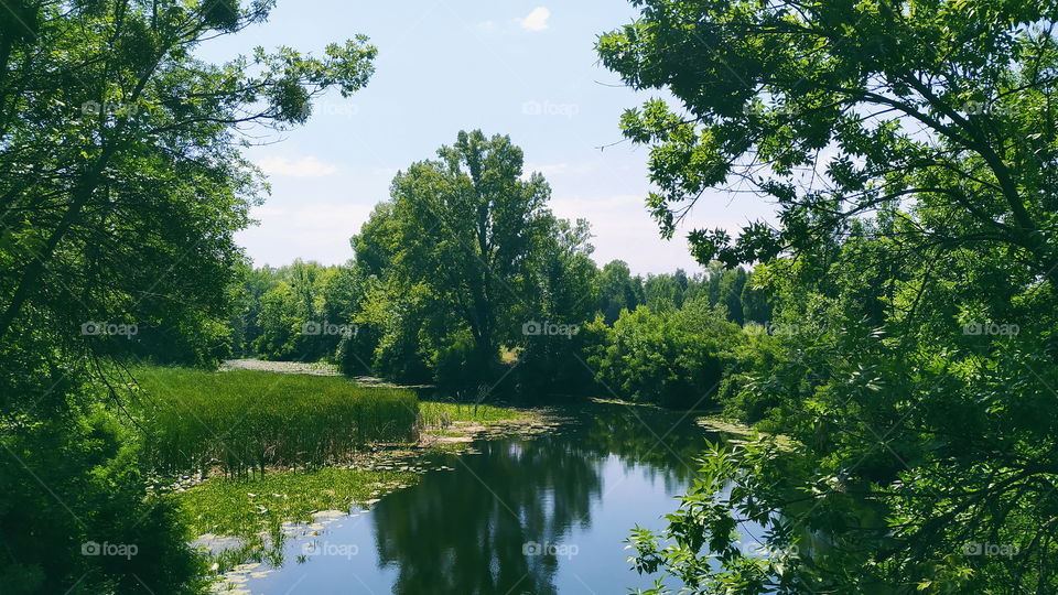 river in the park of the city of Kiev