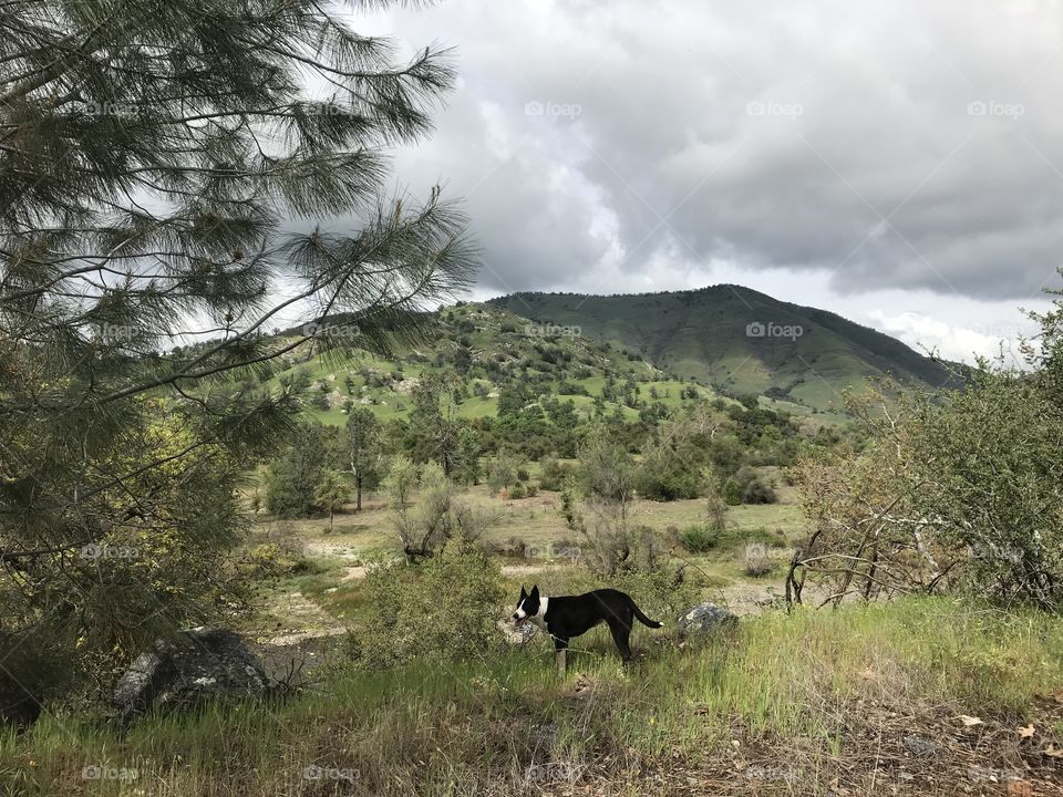 Hiking at King’s River