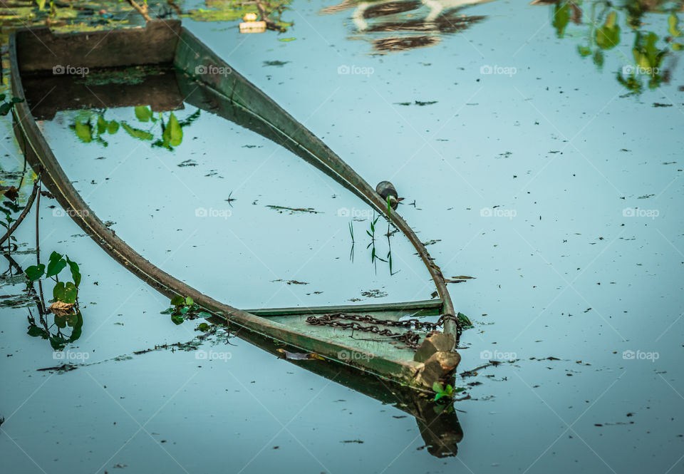 Abandoned boat in lake