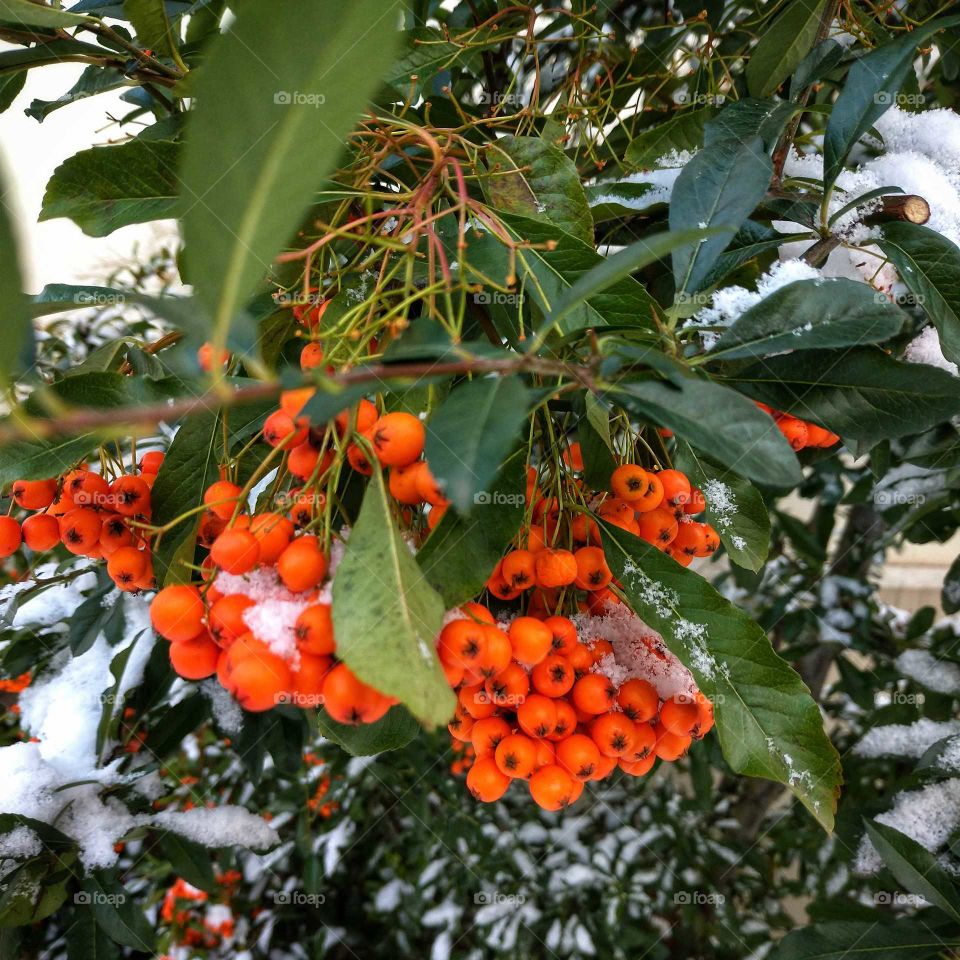 Duszniki Zdrój już zima