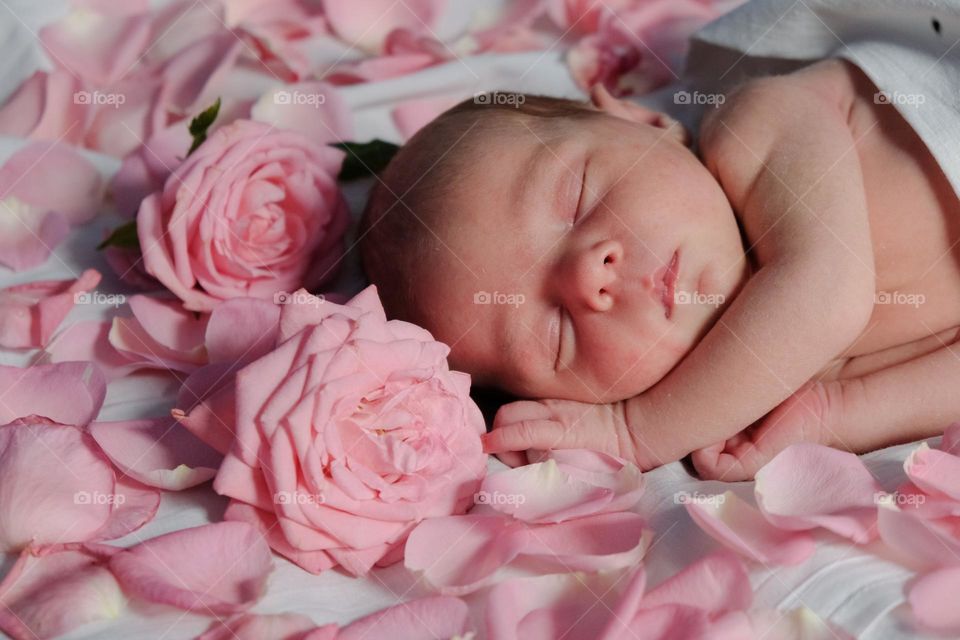 Newborn baby sleeping among roses