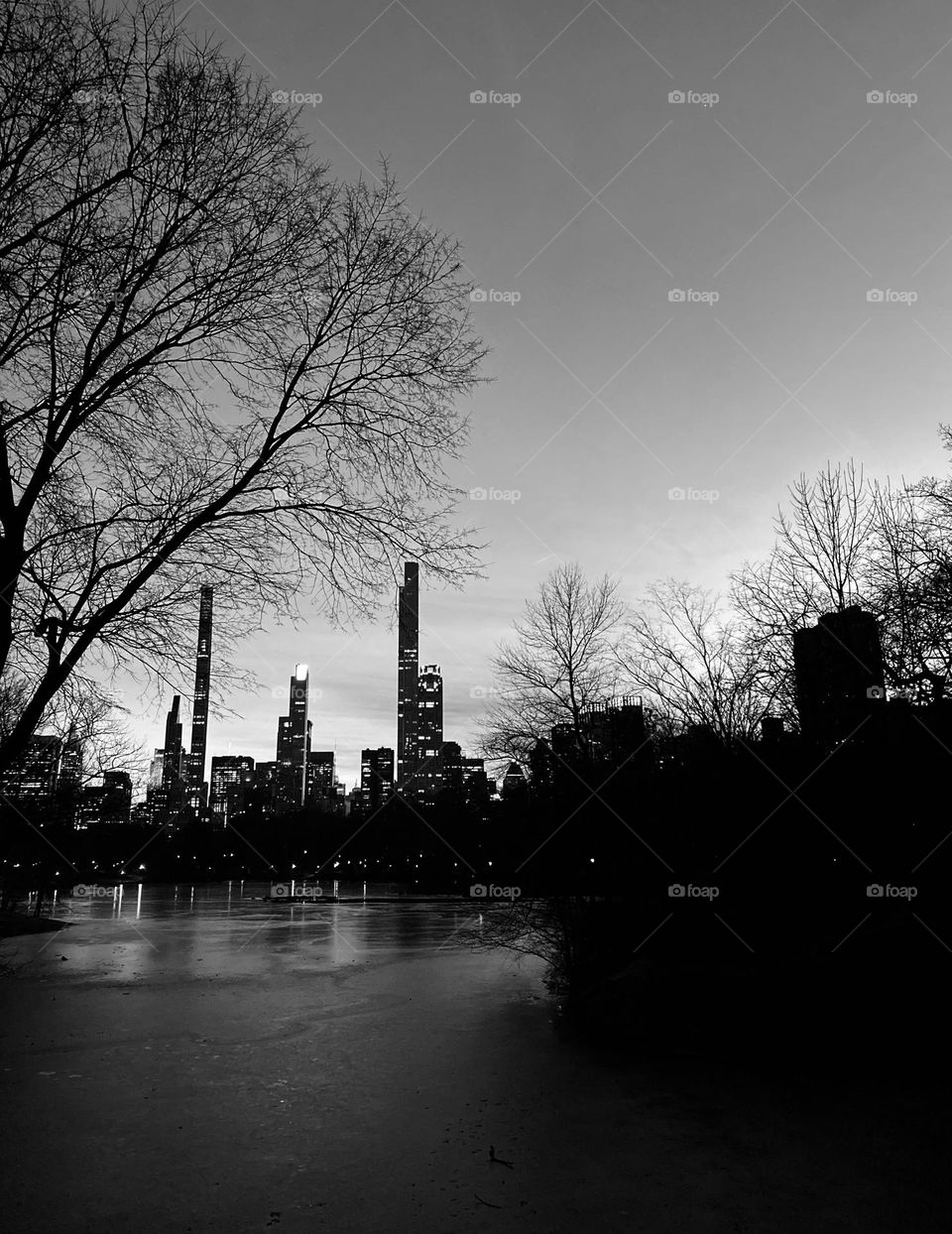 Black and white bare trees and buildings in New York.